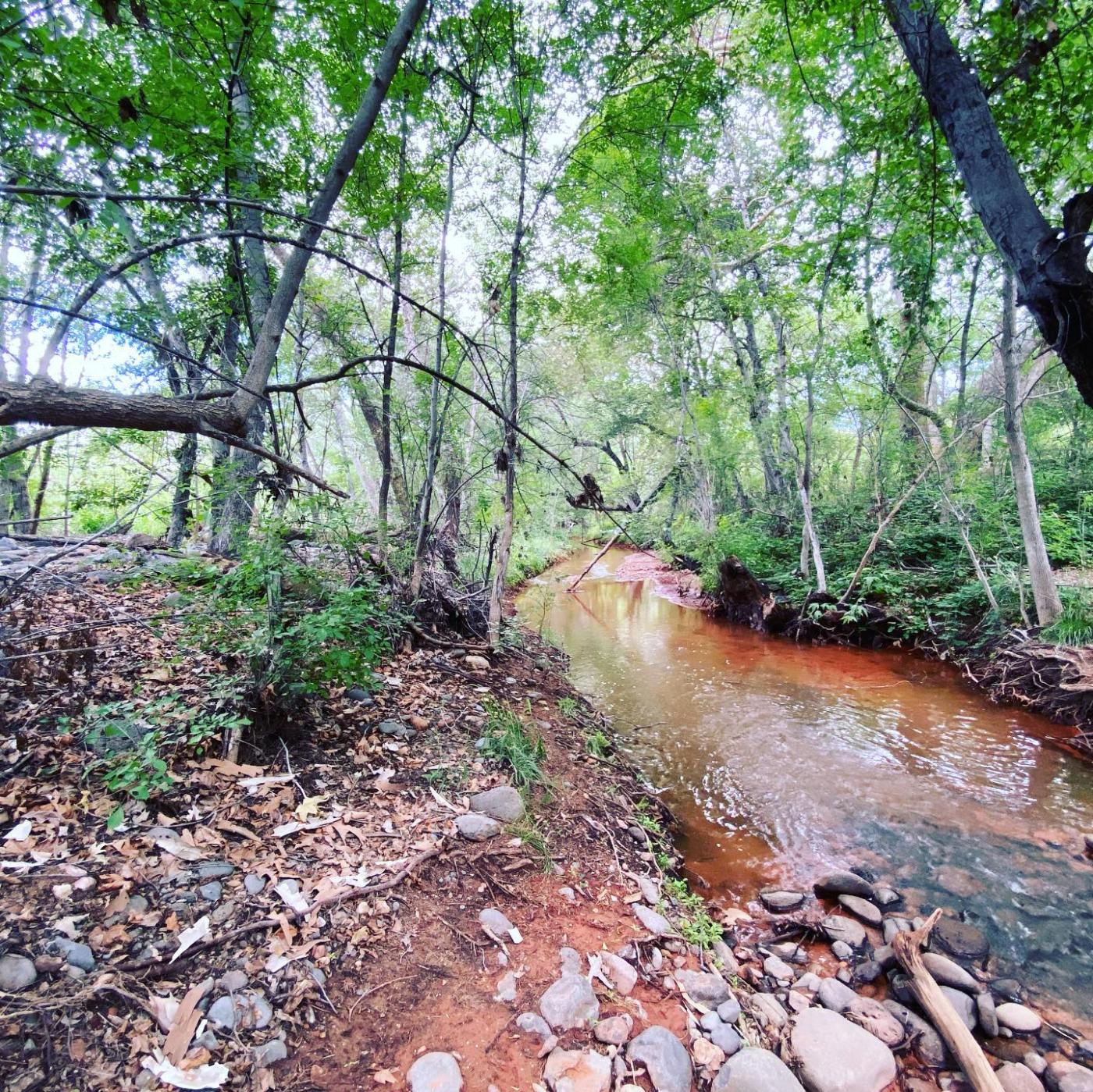 Sedona creek