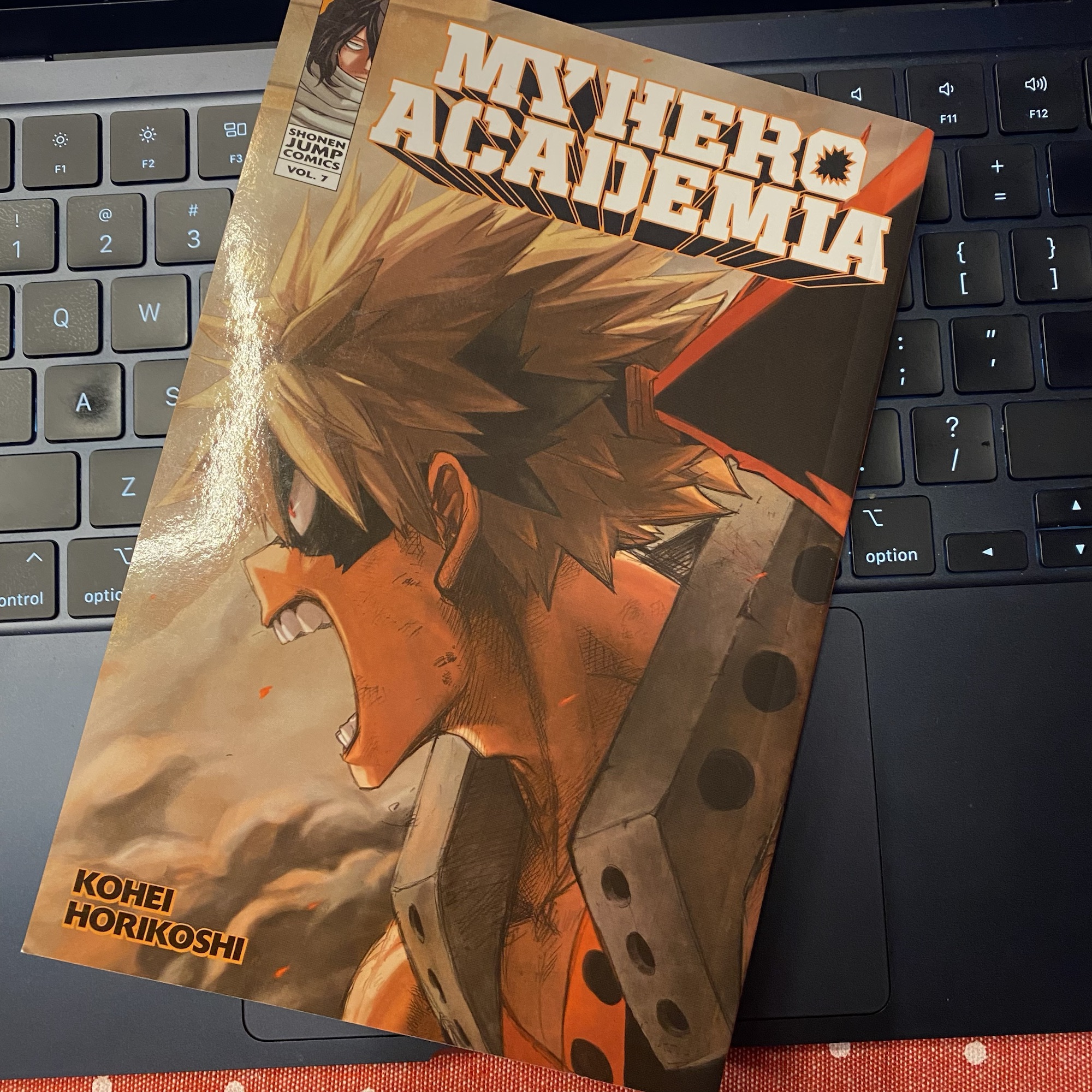 My Hero Academia Volume 7 Cover