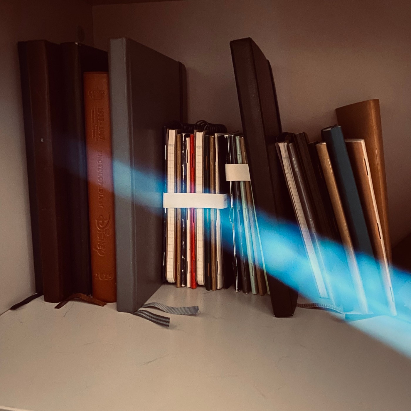 A series of notebooks, some bound together, lined up on a shelf.