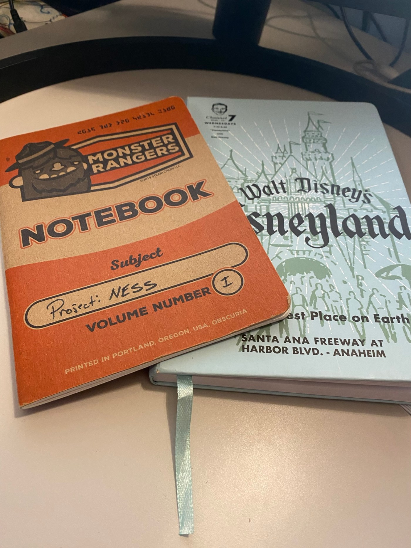 A picture of two notebooks next to each other, a brown one with the words "Project NESS" written on the front, while the other is a blue one with retro Disneyland designs all over it.